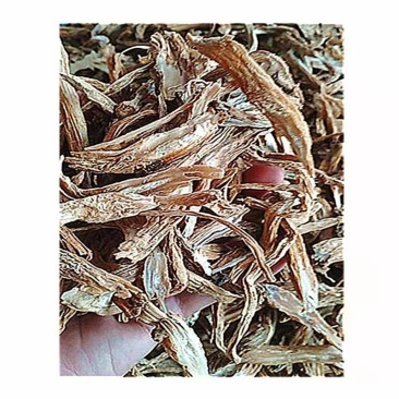 百部根片