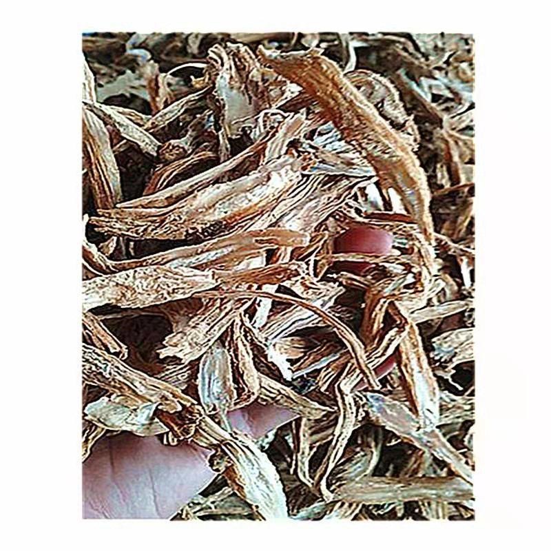 百部根片