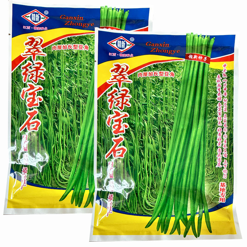 翠绿宝石豆角种子肉厚绿条长豆角结荚多耐高温耐老化