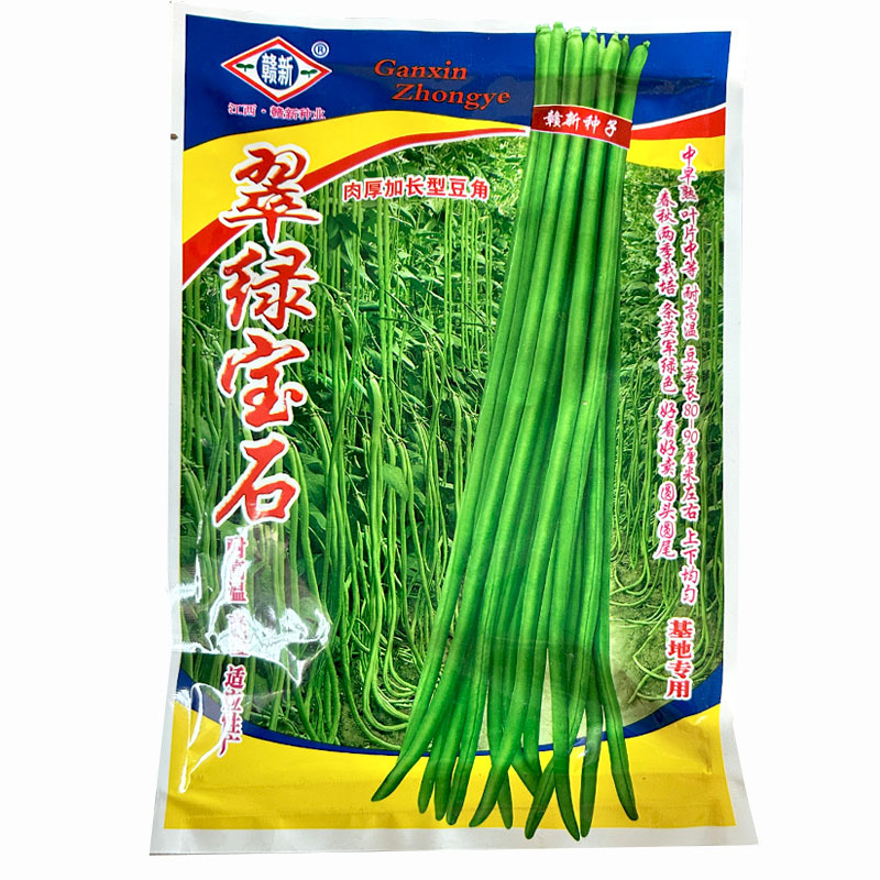 翠绿宝石豆角种子肉厚绿条长豆角结荚多耐高温耐老化