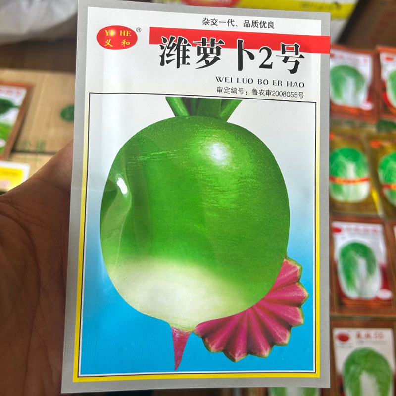 潍萝卜2号种子心里美萝卜种子满堂红萝卜种子味甜多汁