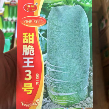 甜脆王3号青萝卜种子长筒形肉浅绿色质脆味甜