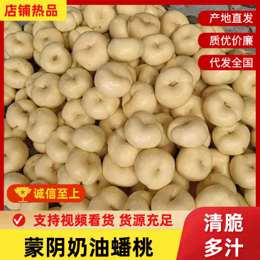 蒙阴奶油蟠桃,奶油蟠桃,一件起批,坏果包赔欢迎下单质询