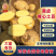 黄皮黄心土豆山西土豆产地直发品质保障对接全国市场