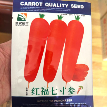 红福七寸参胡萝卜种子皮光亮皮肉心红色柱心细