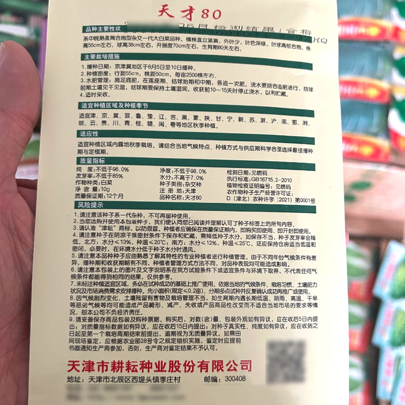 天才80青麻叶白菜种子中晚熟直筒合抱杂交大白菜种子