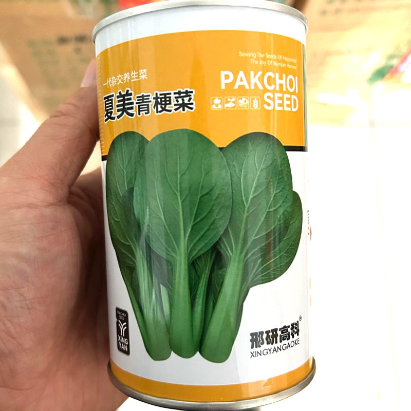 夏美青梗菜种子耐热耐抽苔叶色油绿春秋上海青种子