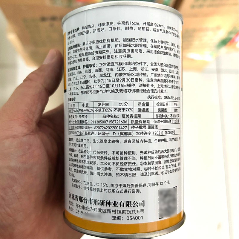 夏美青梗菜种子耐热耐抽苔叶色油绿春秋上海青种子