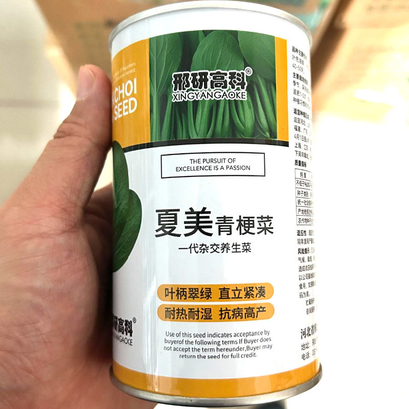 夏美青梗菜种子耐热耐抽苔叶色油绿春秋上海青种子