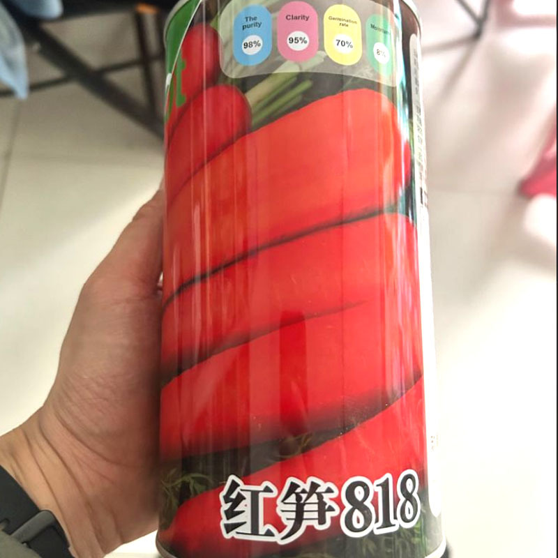 红笋818胡萝卜种子精选提纯三红率高生长速度快
