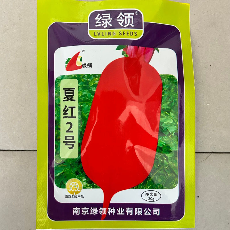 夏红2号大红袍萝卜种子耐热早熟皮色光亮鲜红肉白色