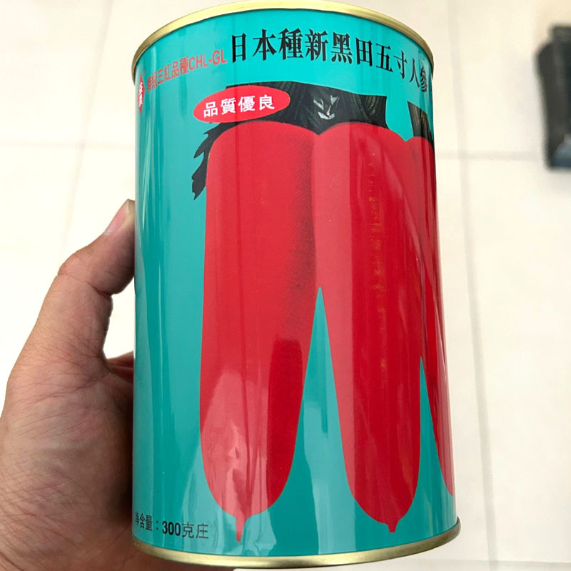 黑田五寸人参胡萝卜种子耐热外皮鲜艳红美丽肉质甜美