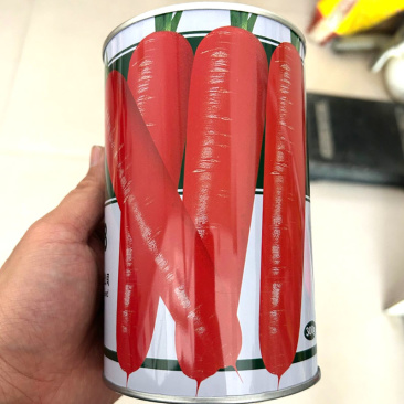 红笋808胡萝卜种子长势旺抗病三红率高表皮光滑收尾好