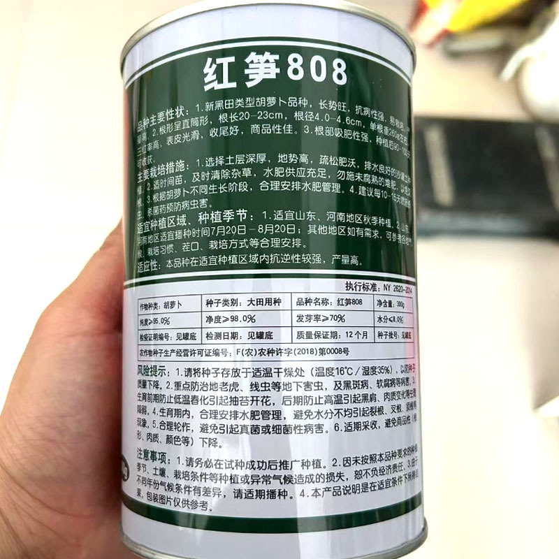 红笋808胡萝卜种子长势旺抗病三红率高表皮光滑收尾好