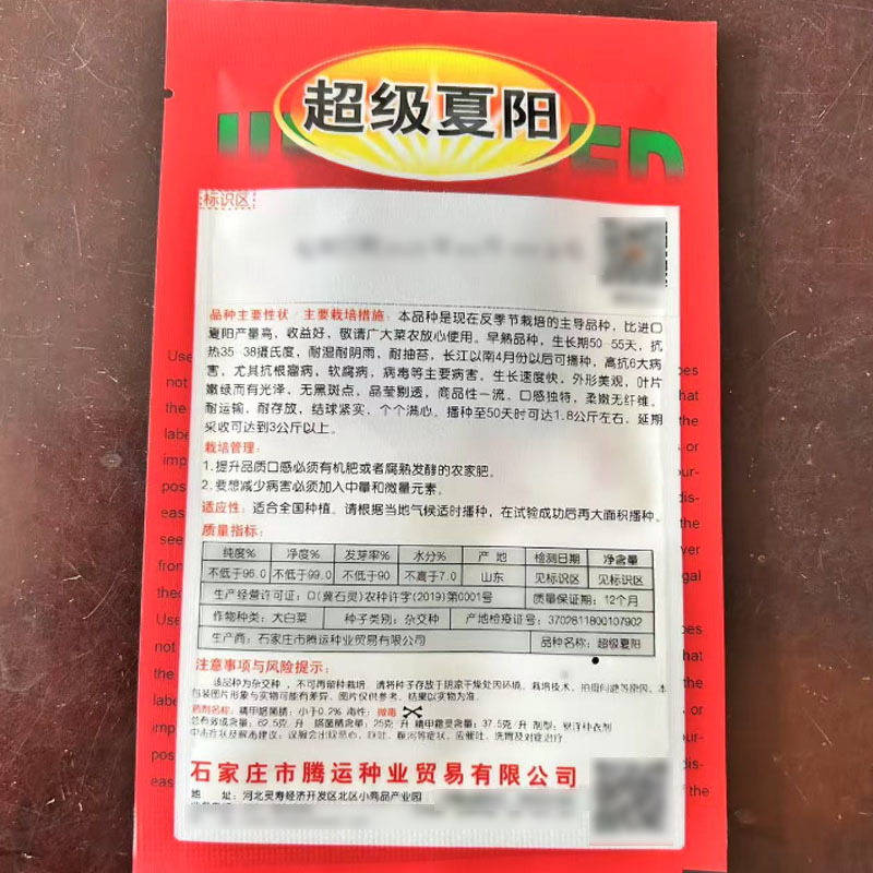 超级夏阳白菜种子耐热早熟反季节耐抽苔结球大白菜种籽基地用