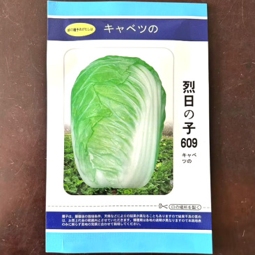 烈日是609夏阳白菜种子反季节种植耐抽苔结球紧实