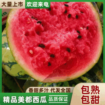 (热卖)精品美都西瓜大量上市,产地价格美丽,一手货源。