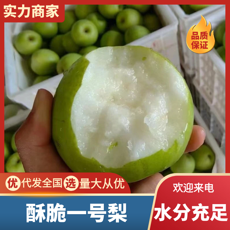 精品酥脆一号梨，早酥脆梨，一手货源，大量供应电商，市场