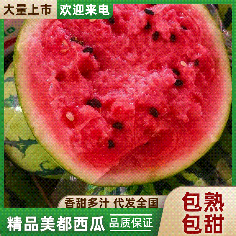 美都麒麟瓜8424个大皮薄，口感纯甜，欢迎老板前来选购。