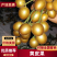 贵妃黄皮果基地直发品质保证诚信经营欢迎来电