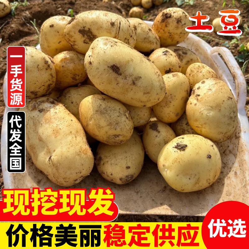 沃土土豆河南沃土5号土豆产地直发提供一条龙服务