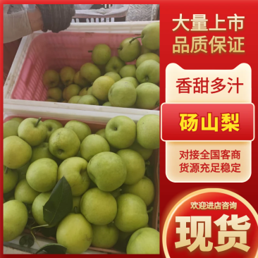 砀山梨品质保证服务周到产地直发价格优惠