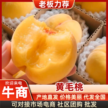 黄桃，大量供应电商，市场，商超，规格齐全，品质保证