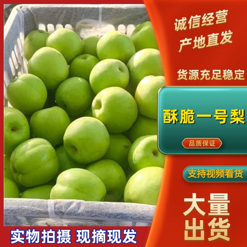砀山梨品质保证服务周到产地直发价格美丽