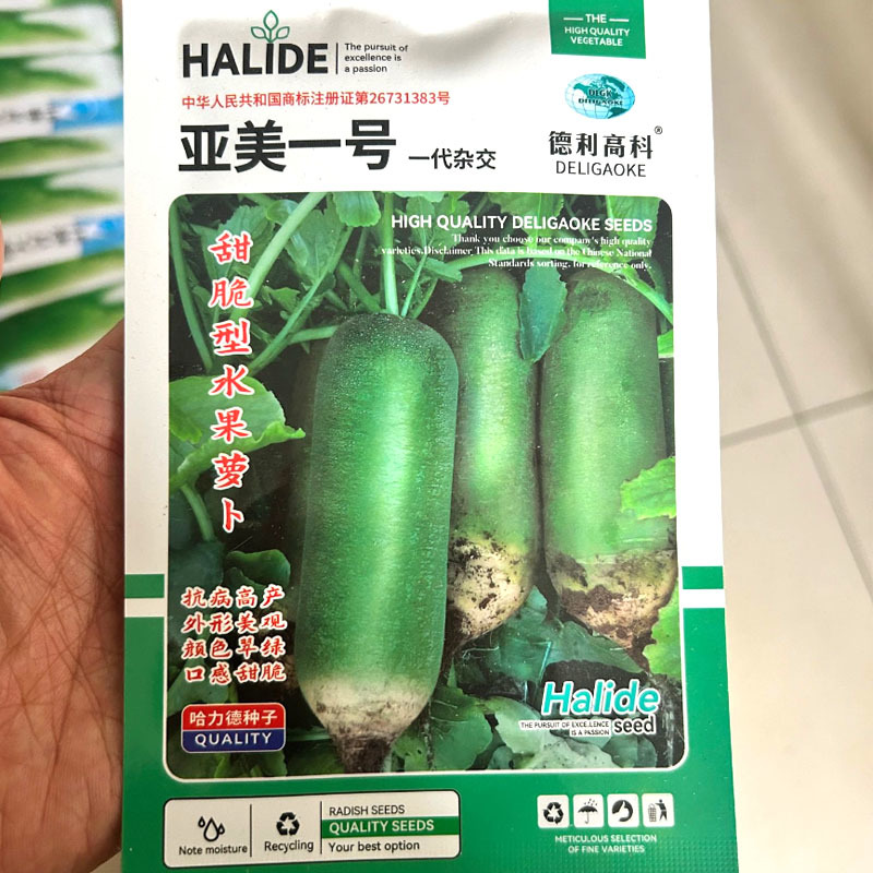 亚美一号甜脆型水果萝卜种子抗病高产口感甜脆