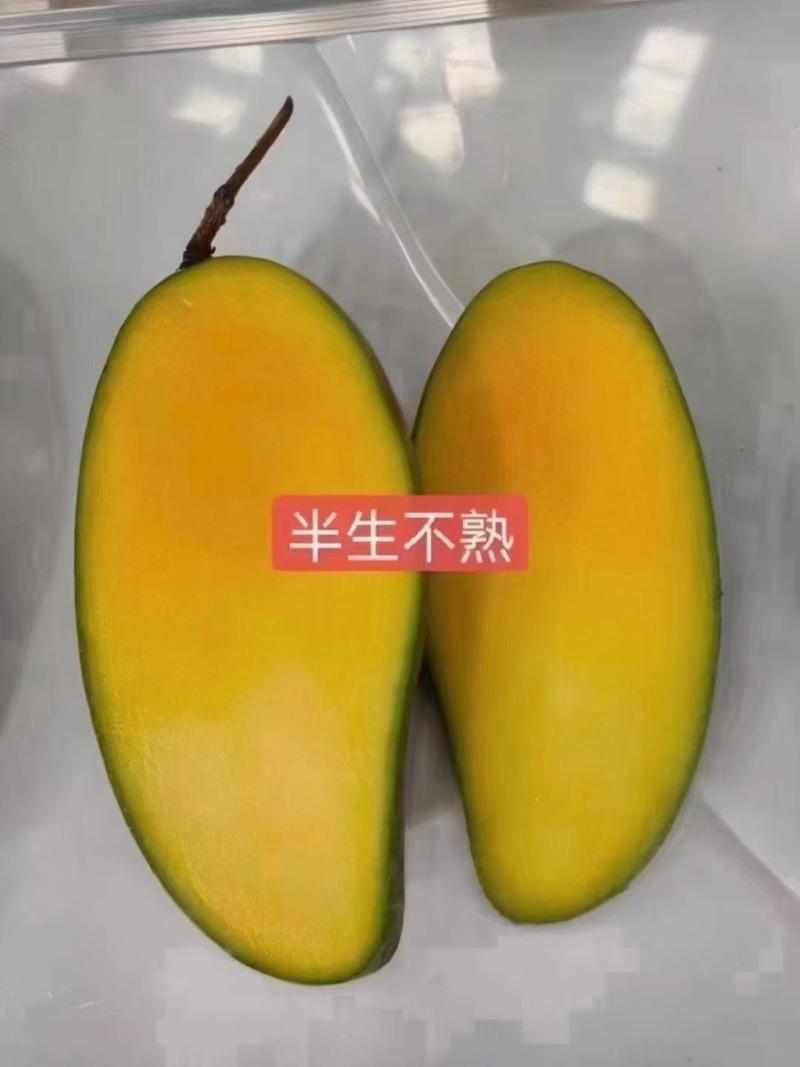 云南一手货源大青芒果对接全国市场新鲜上市量大从优清甜可口