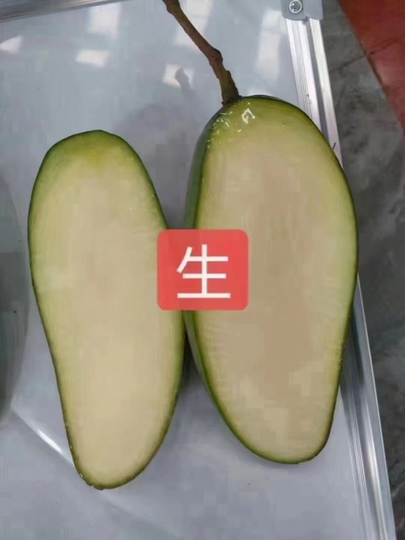 云南一手货源大青芒果对接全国市场新鲜上市量大从优清甜可口