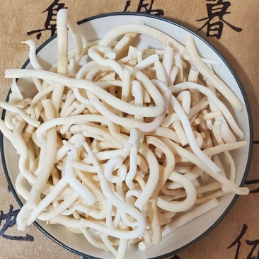 小通草小通花通草棍旌节花山通草通条树鱼泡通