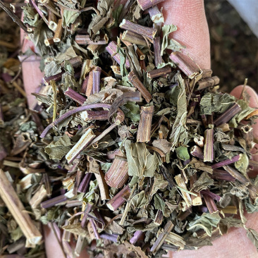 薄荷药材