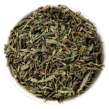 萹蓄茯蓄竹节草猪牙草编竹粉节草道生草萹蓄蓼