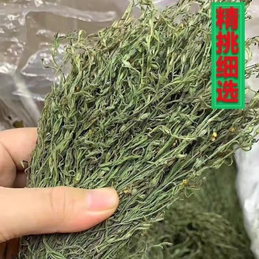 独脚金野生当季地脚金疳积草双金汤独角金孩儿草