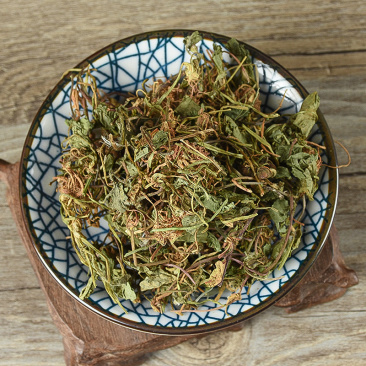 积雪草连钱草马蹄草破铜钱草钱齿草崩大碗