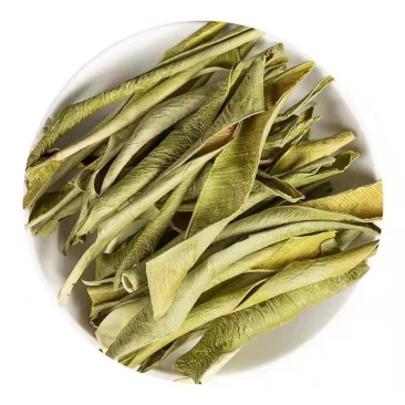 芦荟叶油葱洋芦荟翠叶芦荟美国芦荟卢会象胆