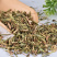 瞿麦石竹草巨麦十样锦四时美圣茏草竹节草