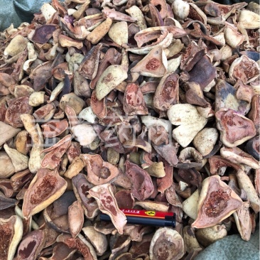王不留行壳正品野生散装500g泡水真材实料食用泡茶