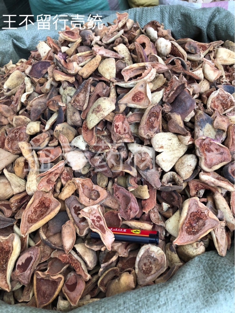 王不留行壳正品野生散装500g泡水真材实料食用泡茶