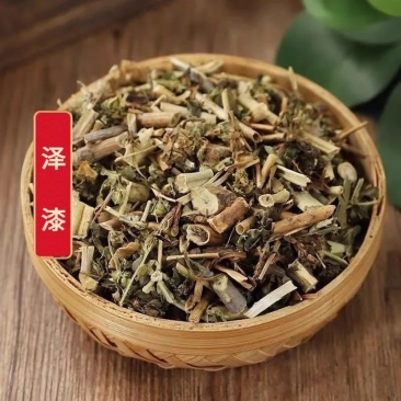 泽漆/猫眼草