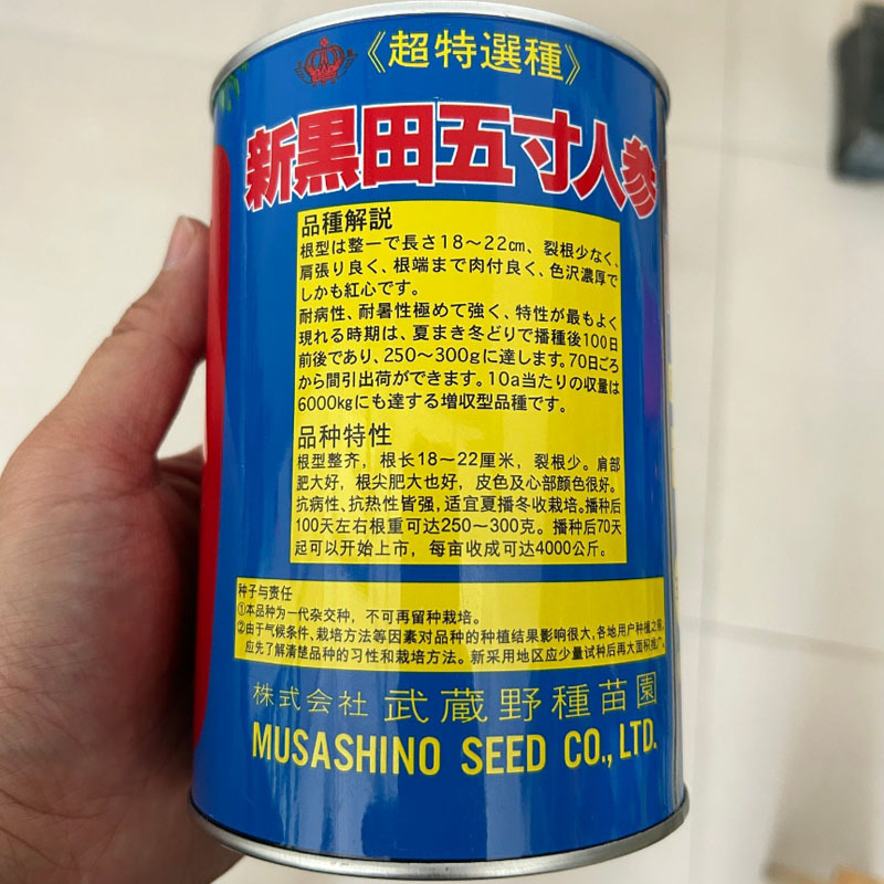黑田五寸人参胡萝卜种子进口胡萝卜种子基地种植