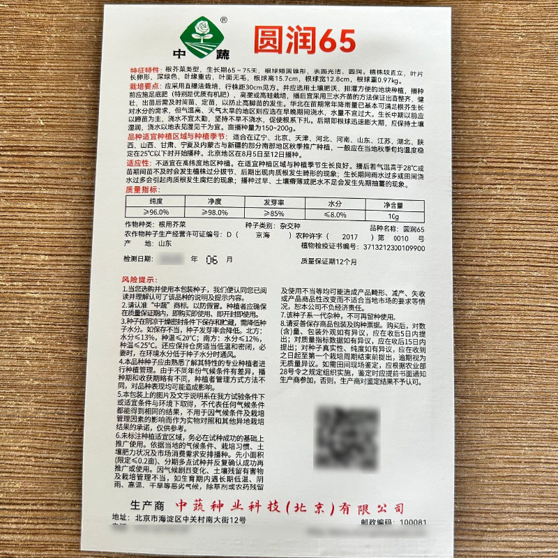 中蔬圆润65芥菜种子大头菜辣疙瘩菜种子表面光洁