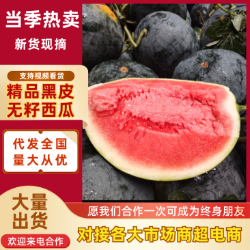 精品黑皮无籽西瓜产地供应量大从优质量保证欢迎咨询