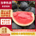精品黑皮无籽西瓜产地供应量大从优质量保证欢迎咨询