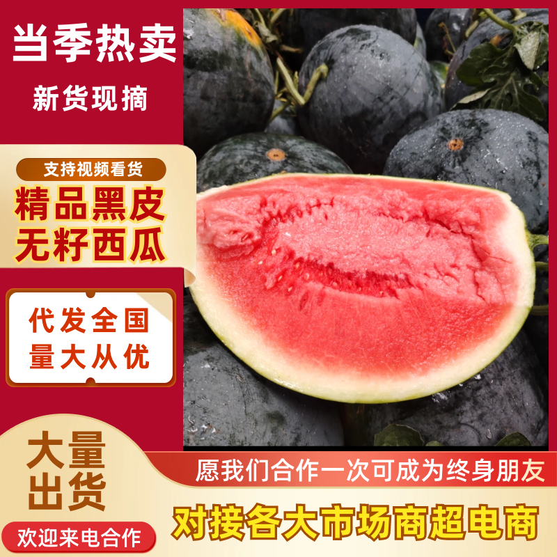 精品黑皮无籽西瓜产地供应量大从优质量保证欢迎咨询