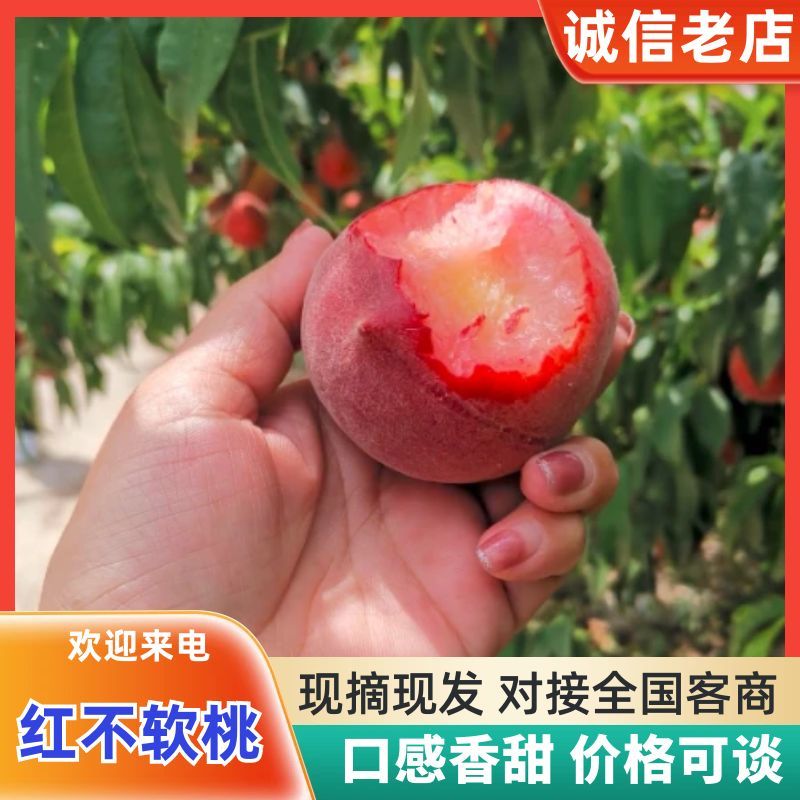红不软桃品质保证服务周到产地直发价格美丽