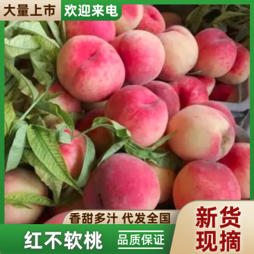 红不软桃品质保证服务周到产地直发价格美丽