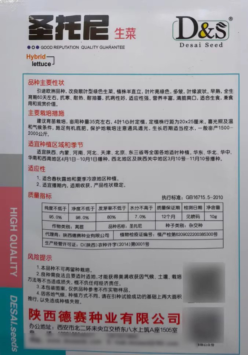 圣脱尼散叶生菜种子亮绿多皱耐热耐寒耐抽苔爽口大速生菜种子