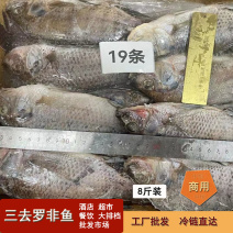 三去罗非鱼鲜活加工片冻8斤19条装酒店大排档餐饮商用批发